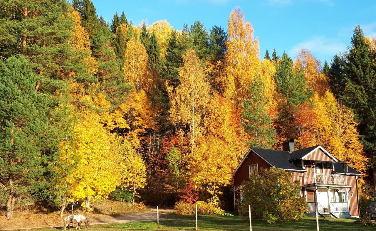 Little Forest House "Our Little Farm" Ekshärad Exterior foto