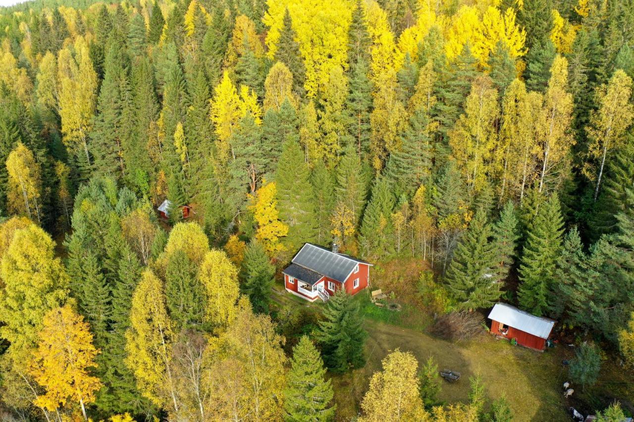Little Forest House "Our Little Farm" Ekshärad Exterior foto